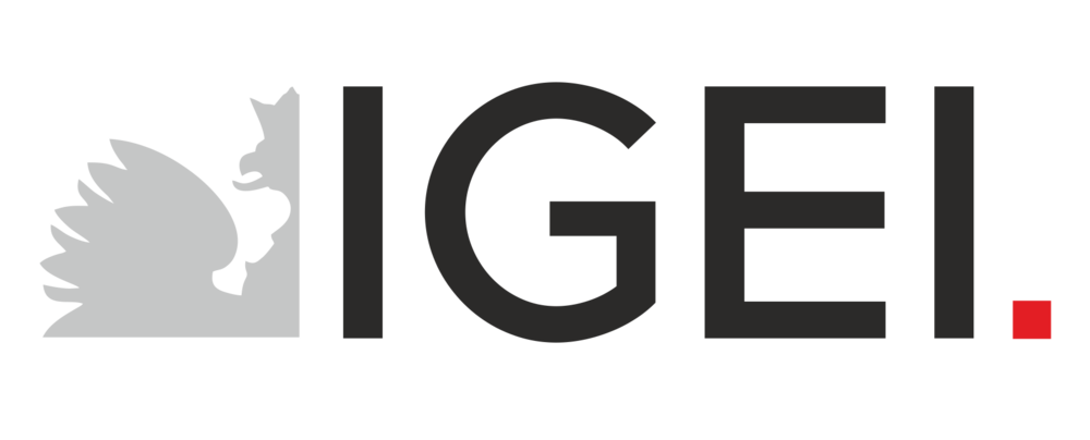 igei.pl
